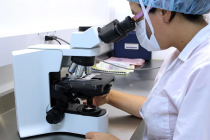 15 τα κρούσματα που νοσηλεύονται στο Νοσοκομείο Αλεξανδρούπολης