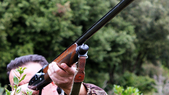 Τροποποίηση της απόφασης για την απαγόρευση θήρας ζητά από τον υπουργό ο πρόεδρος του Επιμελητηρίου Έβρου