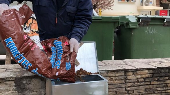 Ταΐστρες για τα αδέσποτα ζώα τοποθετήθηκαν σε σημεία της Αλεξανδρούπολης