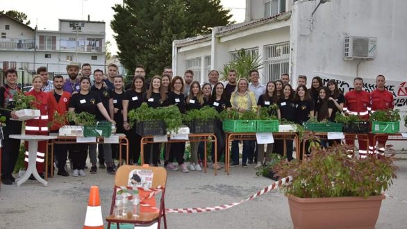 Παραδοσιακοί σπόροι κατευθείαν στο σπίτι σας