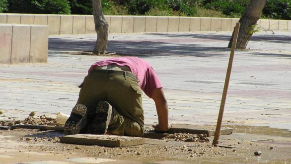 Προσλήψεις για την δακοκτονία στην ΠΕ Εβρου