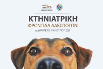 Διδυμότειχο: Συντονισμένη δράση φροντίδας για τα αδέσποτα