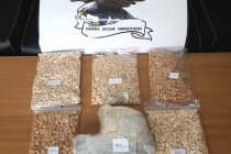 Τυχερό: Κάνναβη και ναρκωτικά δισκία μετέφεραν μη νόμιμοι μετανάστες