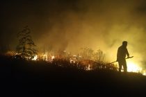 Ευχαριστήρια του Δήμου Διδυμοτείχου για την κατασβεση της φωτιάς στον Καλέ