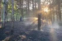 Σουφλί: Πιθανό η χθεσινή δασική πυρκαγιά να ξεκίνησε από παράτυπους μετανάστες