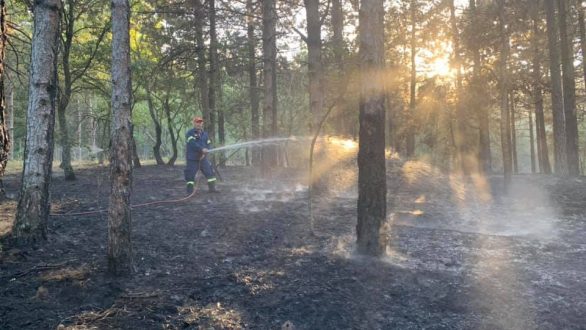 Σουφλί: Πιθανό η χθεσινή δασική πυρκαγιά να ξεκίνησε από παράτυπους μετανάστες