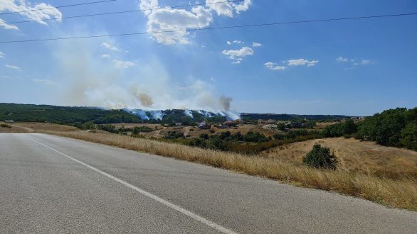 Πυρκαγιά σε δασική έκταση στην περιοχή του Λαγού