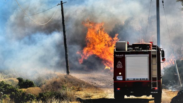ΚΚΕ Τ.Ε. Έβρου: Κίνδυνος μεγάλων πυρκαγιών στον Έβρο, υποστελεχωμένες οι υπηρεσίες