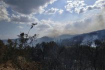 Πέτροβιτς: Πιθανό η πυρκαγιά στην Αισύμη να προκλήθηκε από δόλο