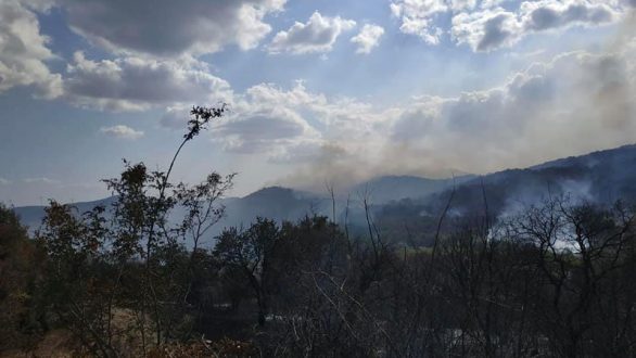Πέτροβιτς: Πιθανό η πυρκαγιά στην Αισύμη να προκλήθηκε από δόλο