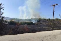 Φωτιά στην περιοχή του Πενταλόφου