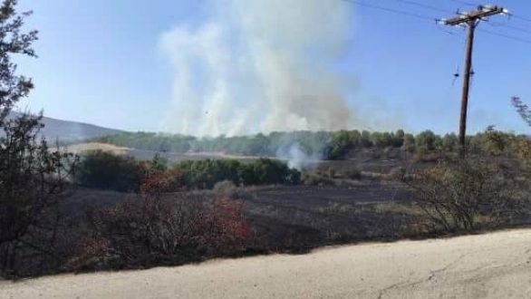 Φωτιά στην περιοχή του Πενταλόφου