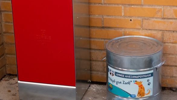 Ταΐστρες και ποτίστρες για τα αδέσποτα τοποθετούνται στην Αλεξανδρούπολη