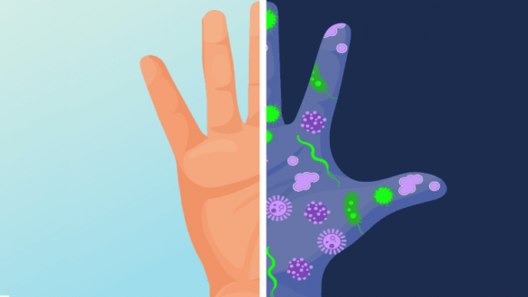 Παγκόσμια Ημέρα Πλυσίματος Χεριών