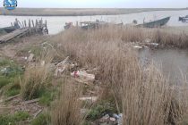 Διημερίδες με στόχο τις κοινές δράσεις για την ενημέρωση και την ευαισθητοποίση των πολιτών για την προστασία των υγροτόπων