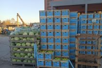 6η διανομή τροφίμων και προϊόντων πρώτης ανάγκης για το 2020 ΤΕΒΑ από το Πολυκοινωνικό