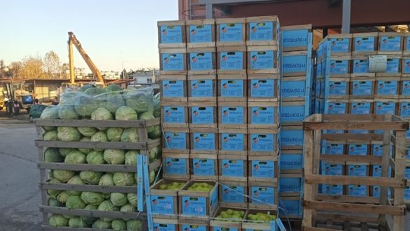 6η διανομή τροφίμων και προϊόντων πρώτης ανάγκης για το 2020 ΤΕΒΑ από το Πολυκοινωνικό