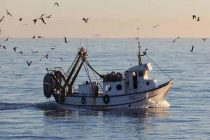 ΥΠΑΑΤ: Ημερίδα στην Αλεξανδρούπολη για τον ψηφιακό μετασχηματισμό της αλιείας