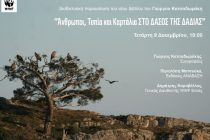 “Άνθρωποι, Τοπία και Καρτάλια ΣΤΟ ΔΑΣΟΣ ΤΗΣ ΔΑΔΙΑΣ”
