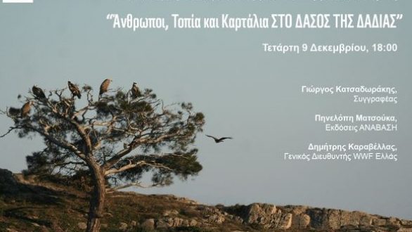 “Άνθρωποι, Τοπία και Καρτάλια ΣΤΟ ΔΑΣΟΣ ΤΗΣ ΔΑΔΙΑΣ”