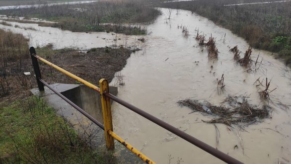 Σε επιφυλακή ο Έβρος – Όγκοι νερού από το φράγμα αφήνει η Βουλγαρία (Συνεχής ενημέρωση)