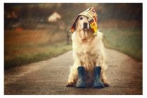 Κακοκαιρία «Μπάλλος»: Τι να προσέξουν οι πολίτες ενόψει των έντονων καιρικών φαινομένων