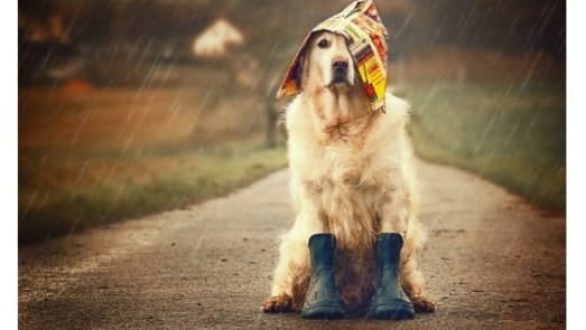 Έκτακτο δελτίο επιδείνωσης καιρού: Έρχεται η «Μπιάνκα» με καταιγίδες, χιόνια και θυελλώδεις ανέμους