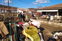 Σουφλί: Άμεσες παρεμβάσεις για τους πληγέντες της θεομηνίας ζητά ο Δήμαρχος από τον Πρωθυπουργό