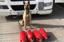 Τελωνείο Κήπων: 8 κιλά κάνναβη μέσα σε πυροσβεστήρες “ξετρύπωσε” ο αστυνομικός σκύλος Laika