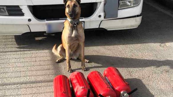Τελωνείο Κήπων: 8 κιλά κάνναβη μέσα σε πυροσβεστήρες “ξετρύπωσε” ο αστυνομικός σκύλος Laika