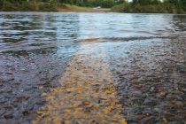 Έκτακτη επιχορήγηση στους δήμους Σουφλίου, Αλεξανδρούπολης και Ορεστιάδας για αποζημιώσεις πλημμυρών