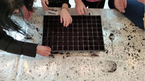 Πρόγραμμα Σχολικών Κήπων στο 2ο Δημοτικό Σχολείο Φερών