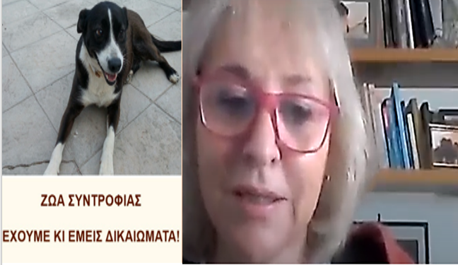 4ο Γυμνάσιο Αλεξανδρούπολης, δικαιώματα ζώων