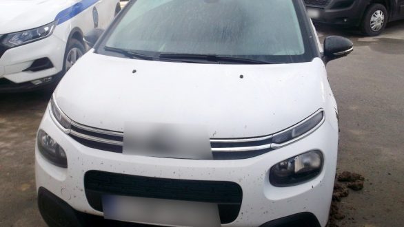 Συλλήψεις διακινητών – “Κινηματογραφική” καταδίωξη στην Αλεξανδρούπολη