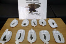 Συνελήφθη ένας αλλοδαπός ο οποίος μετέφερε από την Τουρκία στην Ελλάδα μη νόμιμους μετανάστες