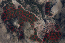 Υλοποίηση προγράμματος προστασίας στο πευκοδάσος της Σαμοθράκης