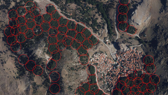 Υλοποίηση προγράμματος προστασίας στο πευκοδάσος της Σαμοθράκης