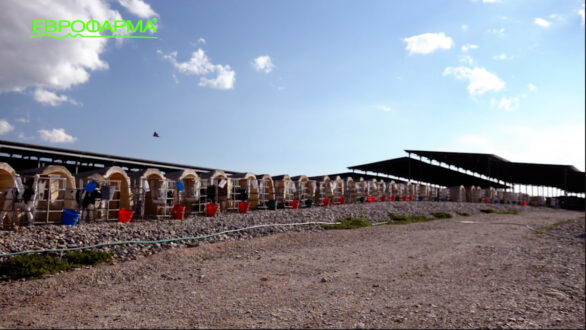 Επιστημονική θέση εργασίας στο campus της Εβροφάρμα