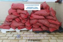 Σύλληψη πέντε ημεδαπών για από κοινού λαθρεμπορία οστράκων