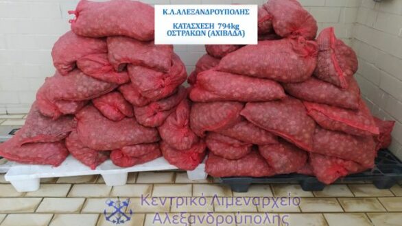 Σύλληψη πέντε ημεδαπών για από κοινού λαθρεμπορία οστράκων