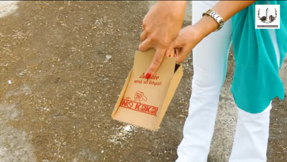 Χάρτινα φαράσια στους ιδιοκτήτες σκύλων μοιράζει ο Δήμος Αλεξανδρούπολης