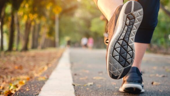 ΚΝΕ: Περιβαλλοντικός περίπατος στον Πεντάλοφο