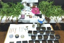 Αλεξανδρούπολη: Με ναρκωτικά και όπλα εντοπίστηκαν δύο άτομα