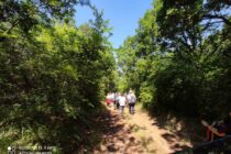 Με επιτυχία πραγματοποιήθηκε ο περιβάλλοντος περίπατος της ΚΝΕ