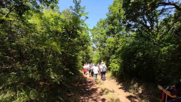 Με επιτυχία πραγματοποιήθηκε ο περιβάλλοντος περίπατος της ΚΝΕ