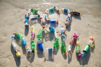 Καθαρίζουμε το Εθνικό Πάρκο Δέλτα Έβρου