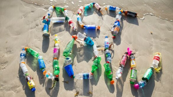 Καθαρίζουμε το Εθνικό Πάρκο Δέλτα Έβρου