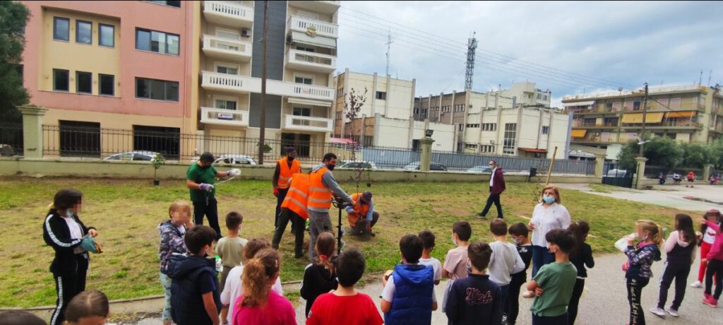 δενδροφύτευση, Πειραματικό Δημοτικό Σχολείο Αλεξανδρούπολης