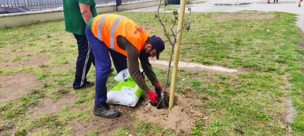 δενδροφύτευση, Πειραματικό Δημοτικό Σχολείο Αλεξανδρούπολης