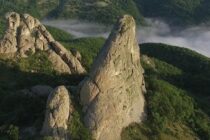 Νέο ντοκιμαντέρ από την WWF Ελλάς “Τα Μετέωρα του Βορρά”